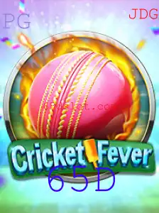 CricketFever: Immersing in the Thrill of 65D